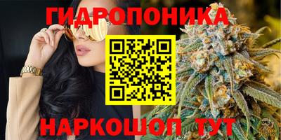 прущие грибы Конаково