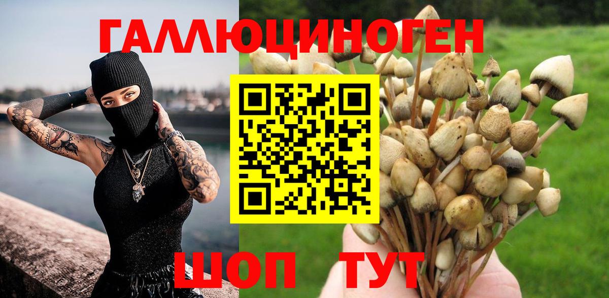Галлюциногенные грибы мухоморы  Вход с VPN  купить наркоту  Хабаровск 